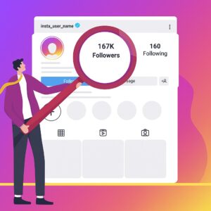 Insta Follower Package