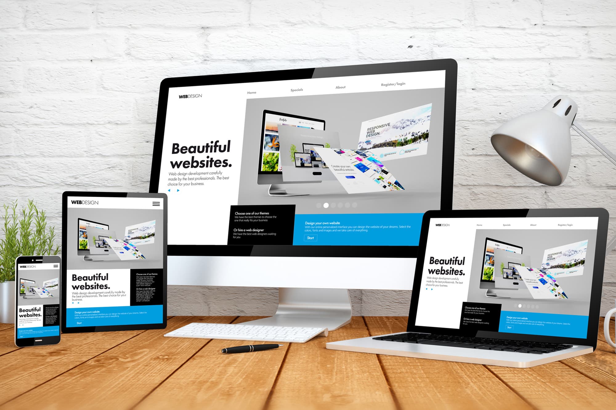 Basic Website Design Package